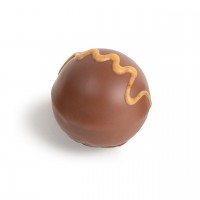 Bio-Praline Vollmilch Maracuja