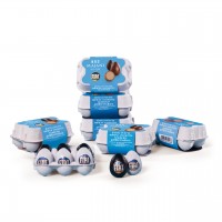 Maxiovette Fiat Assortite 6 Maxiovette di cioccolato assortite