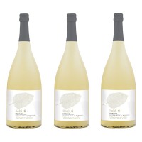 Bergapfelsaft Wintercalville-Degustationskarton