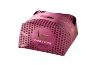 Panettone Lamponi e cioccolato