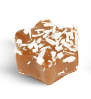 Bio Vollmilch Kokosbusserl Stern